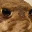 ghostlypalefrog