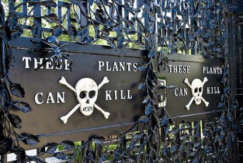 disgustinghuman: bregma: The Alnwick Poison Garden is pretty much what you’d think it is: a ga