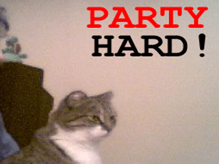 filenamedotpng:  Partyhard_cat1.gif