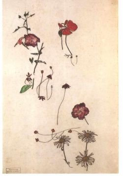 dappledwithshadow:  Egon Schiele 