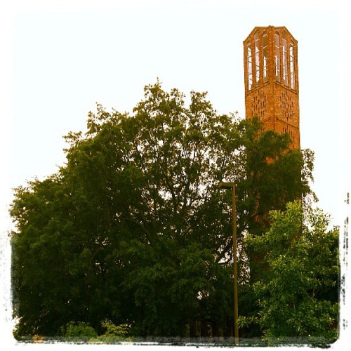 #school #msu