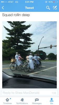 stability:  Perks of living in Amish country: