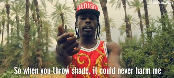 tha-shaolin-assassin:  Palm Trees