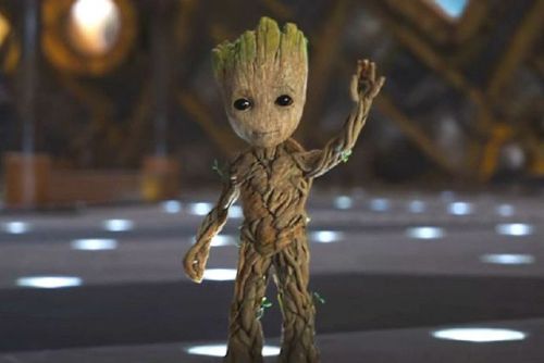 Baby Groot from Guardians of the Galaxy 2 is a flat earther