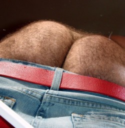 Hairy Dads Love Hairy Butts