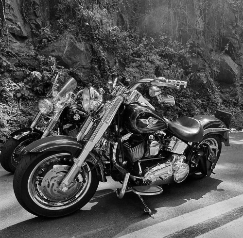 harley davidson