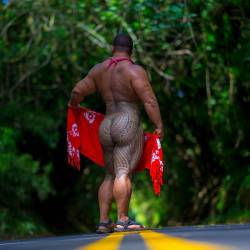 thecaliforniacow:I’m in Hawaii, so of course I’m trying to get new photos of my pe'a. This was taken in the old Pali highway around a blind corner. I accidentally flashed a few cars before I was satisfied with the shot. :X http://j.mp/2gaywtl