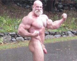 daddybearlover77:  glorious9er:  That  peak, the big fat cock, them furry pecs &amp; his magnificent beard!  Need to  know his name very, very badly!  Daddy 😍  Nice