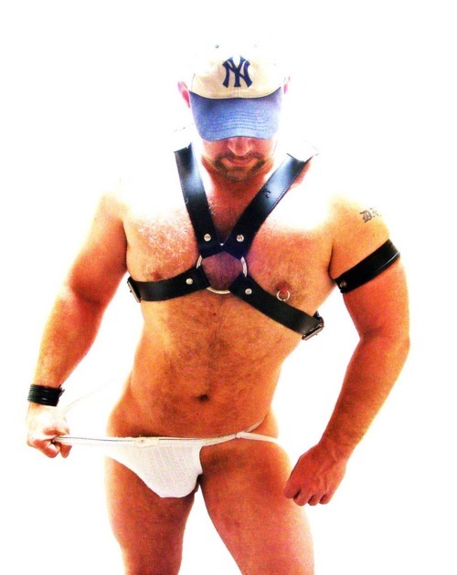 A Tribute To Alpha Males.