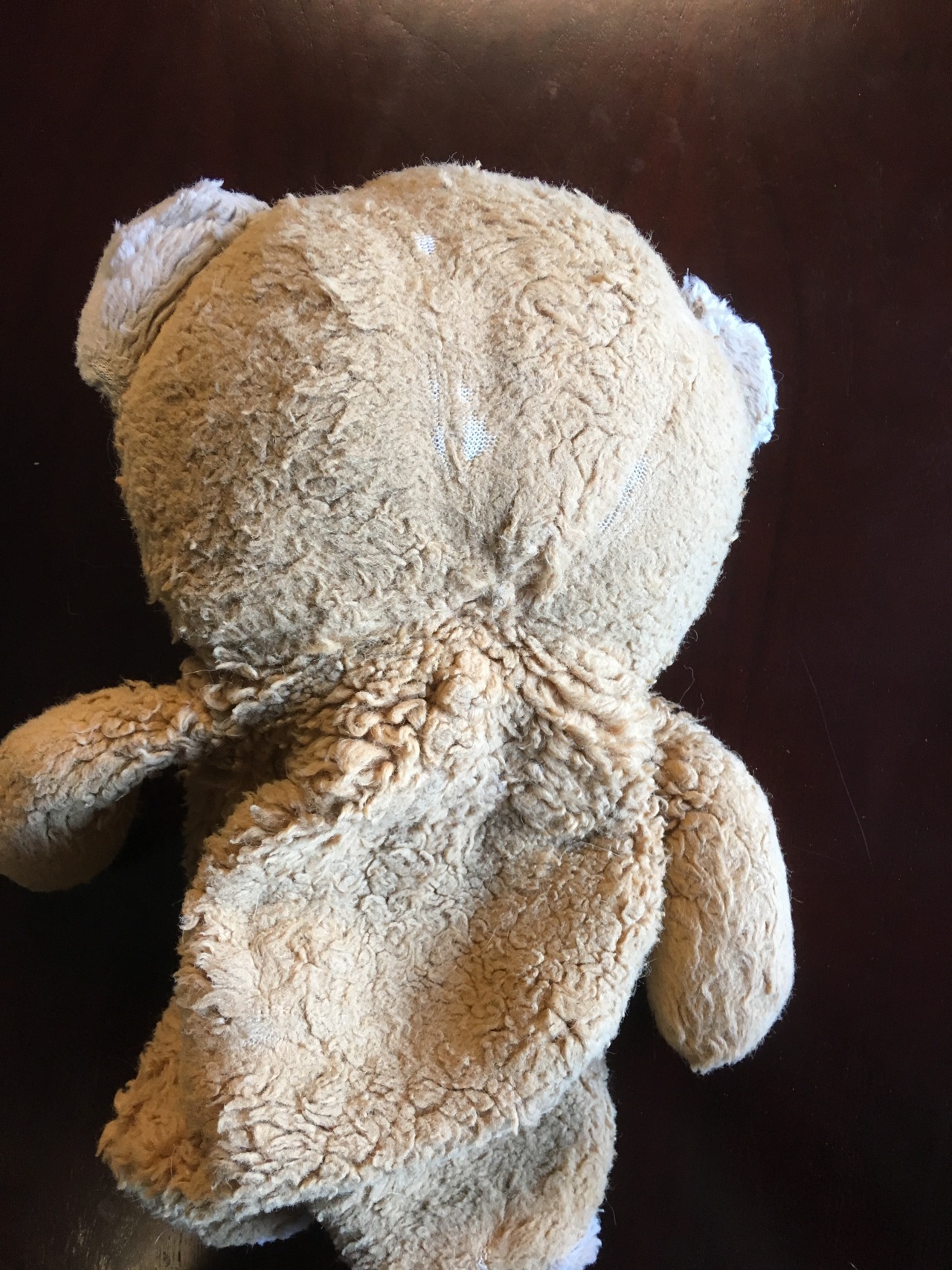 Teddy for Christmas