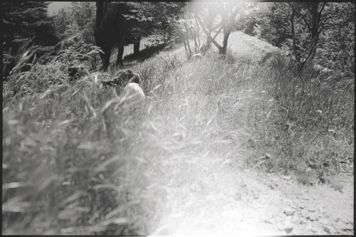 Corso Avanzato di Fotografia Forti di Genova Camera Pentax ME Super | Film Rollei RPX400 