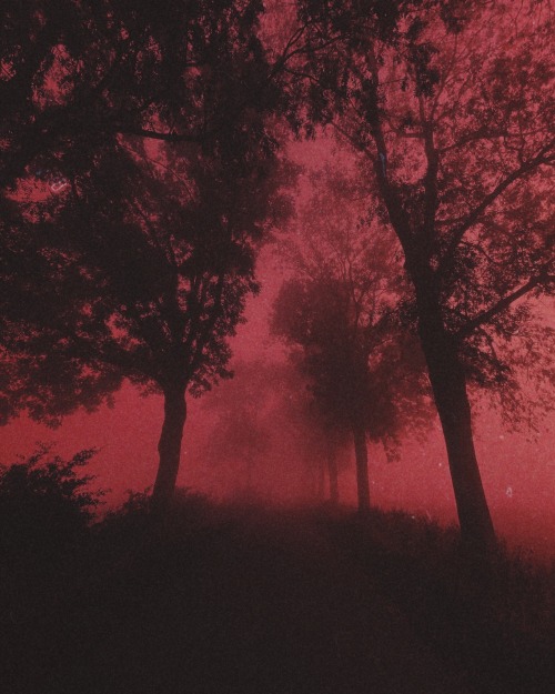 Nona Limmen