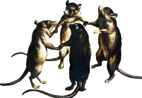 mermaidbones:scumstains:Dance of the Rats oil on canvas by an unknown Flemish artist of the 17t