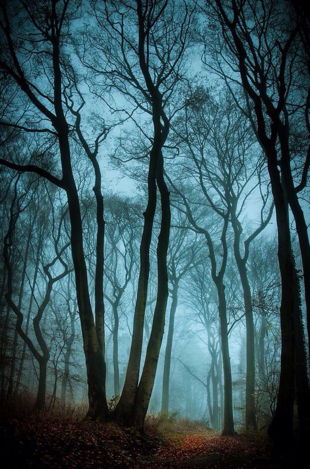 spellbound-souls:  No way back by StillBelieven - source - Via Flickr 