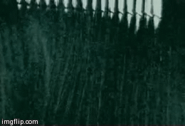 sixpenceee:  cunt0logist:  sixpenceee:  The Ring: Cursed Video Tape According to