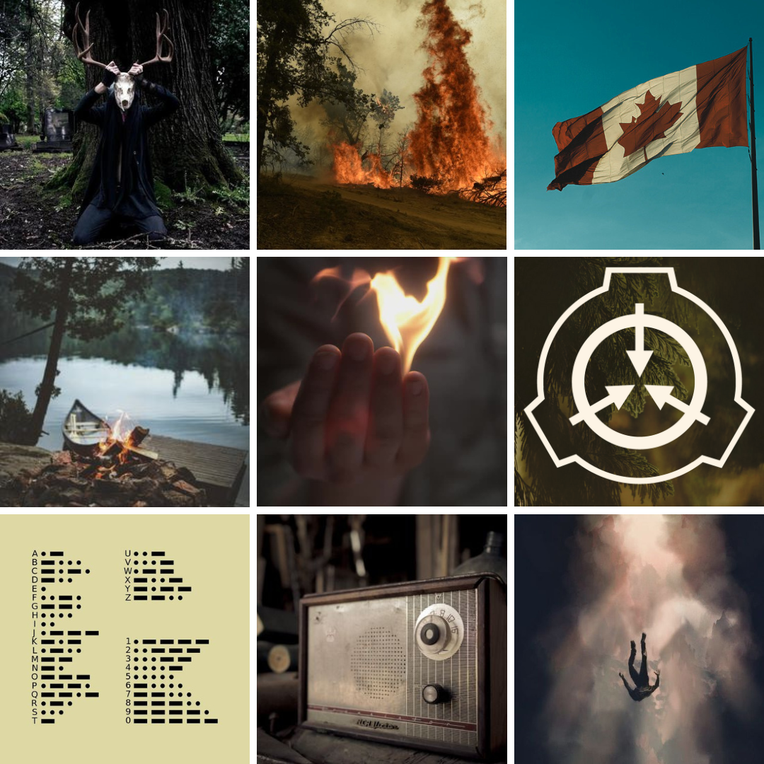 SCP Aesthetics — SCP Aesthetics: 1733 (requested by