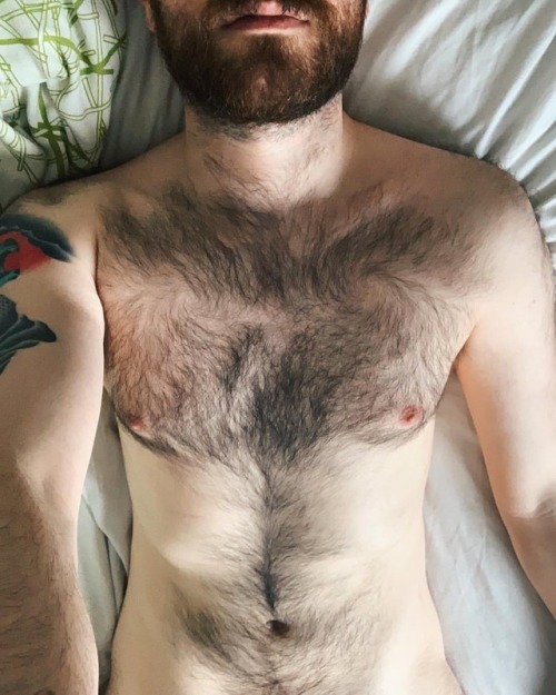 scruffyasfuck: www.instagram.com/p/BtYJ1TElNbk/?utm_source=ig_tumblr_share&amp;igshid=1w