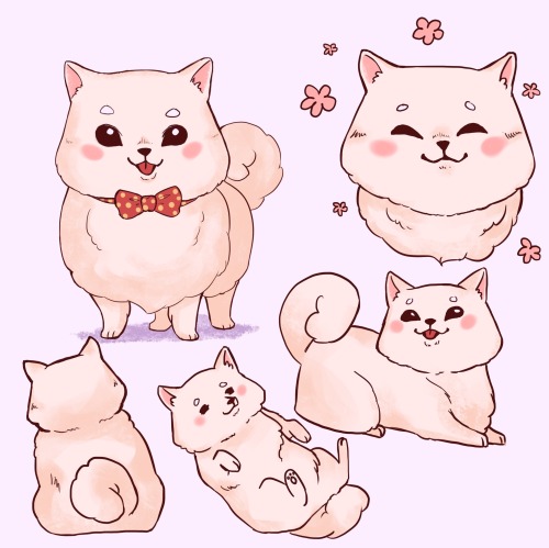 Some fluffy bois sketches ! 