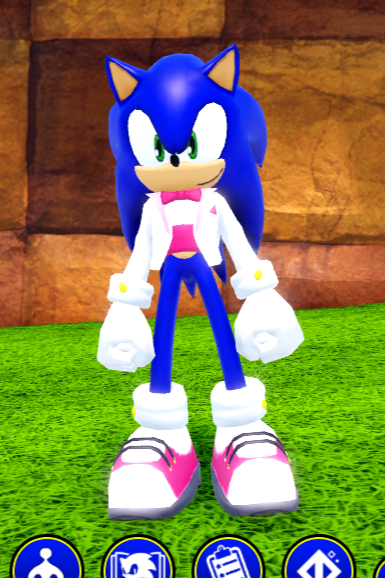 Valentine's Sonic; Sonic Speed Simulator