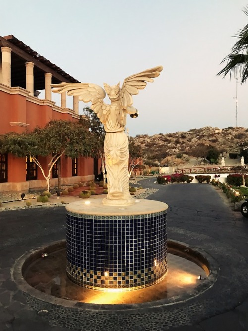 Dinner at the sister resort Hacienda EncantadaCabo San Lucas, Baja Mexico, March 2018Now this place 
