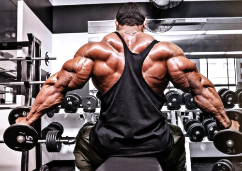 singerskitten58-blog: My beautiful alpha muscle God, Roelly Winklaar!