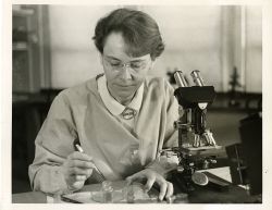 howstuffworks:  Born on this day…   Barbara McClintock (June 16, 1902 – September 2, 1992) was a United States geneticist. She won the Nobel Prize in physiology or medicine in 1983 for her discovery that certain genes in corn can move from one position