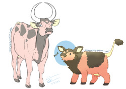 noitarumpusymposium:  Miltank variations, more or less cow-like.