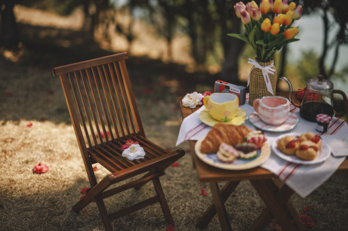 2022-03-27Spring, Camellia PicnicCanon EOS R3 + RF50mm f1.2LInstagram  |  hwantastic79vivid