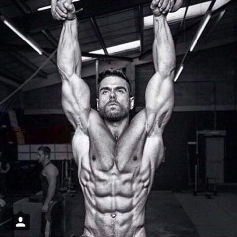 toolchest:  Hoist 