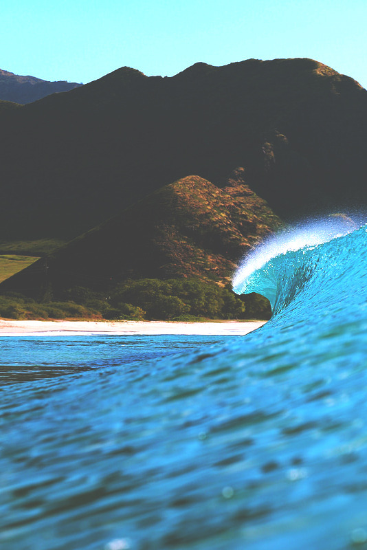 tryintoxpress:  Castaway - Photographer ¦ Lifestyle - Nature - Private   