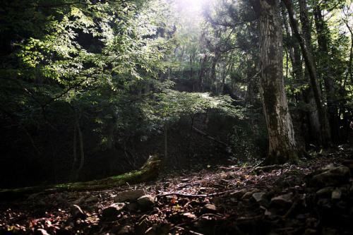 Mt.Amagoidake / Shiga Prefecture by sf1003！ on Flickr.