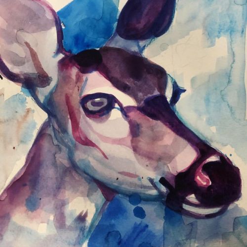 Here’s a deer for your deer needs! #art #watercolor #taide #riikkajosefina #rpistej #josefinar