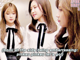 jungeunjiya:  eunji - on apink US tour / apink diary 3