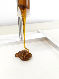 weed-breath:  scottya420:  Pouring shatter like it’s syrup 😋  this is so sexy holy shit tag your porn 