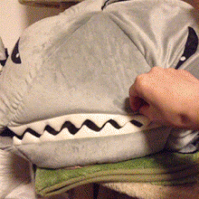 ds08tf:  o.OThey got a cat stoned and put the poor thing in a toy shark! 