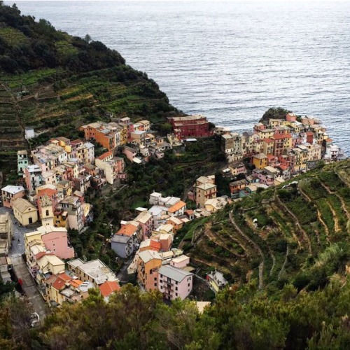 sarahvisualart:  Manarola by night / Manarola by day from above 