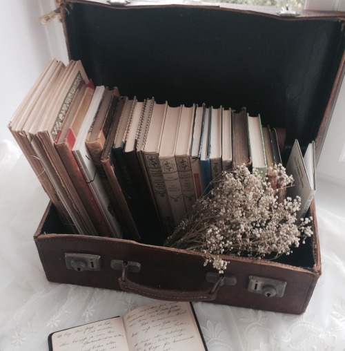 day-and-moonlightdreaming: September 1, 2016. I found some very lovely old books. Some for reading, 