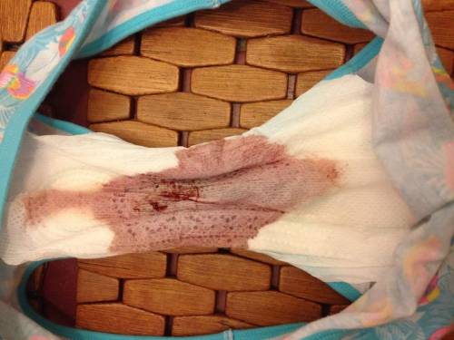 wetnready: My dirty pad/panties