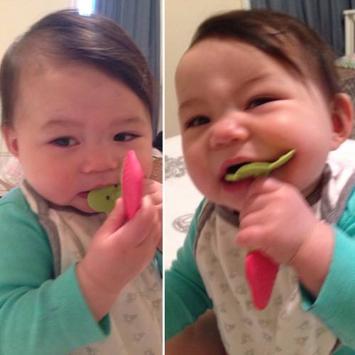 First we nom, then we destroy! #raisingrory #8months #teef #babiesofinstagram #babiesofig