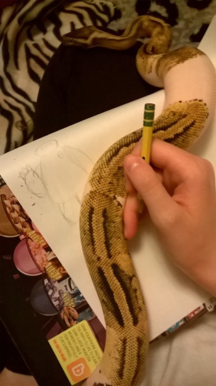 cinnamonrollsnek:She wanted to help me draw a card for my friend’s Christmas present(She’s pinkish a