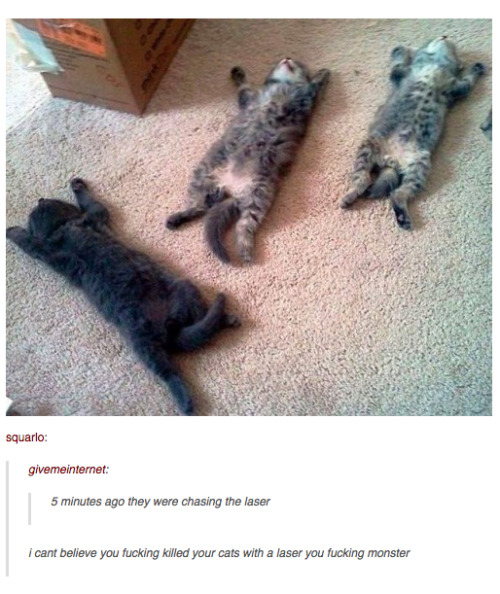 Sex letsgobaritones:  itsstuckyinmyhead:  Cats pictures
