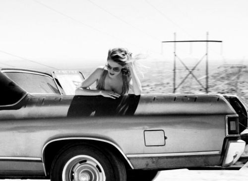 takearideonthewildside1:  takearideonthewildside1