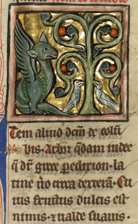 kafkasapartment:A little dragon, doves and a tree. Late 13th century.Unknown illuminator, Franco-Fle