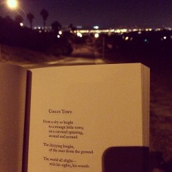 langleav:  chowchowmusic:  We are all lights in this world that makes this city shine in our own way.🌌🌃 #love #citylights #poem #night #loveandmisadventures #langleav #art #photography  Thanks lovely xo Lang  ……………. Love &amp; Misadventure