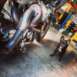 buttpee:  Everyone needs a supervisor #CoCoLoCo #jessejames #westcoastchoppers  (at TX Hill Country)