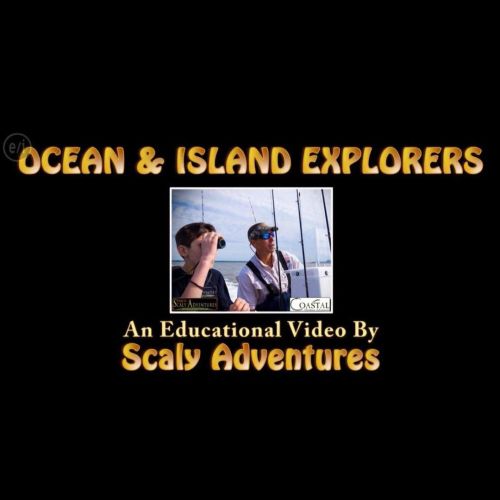 “Ocean & Island Explorers” is our very first @scalyadventures TV episode that aired 