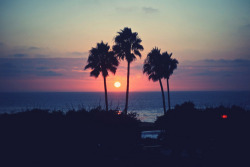 (100 ) Tumblr en We Heart It. http://weheartit.com/entry/69537008/via/itsmepami