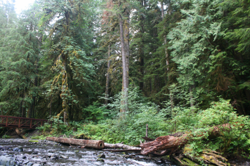 bright-witch: ◈ Olympic Peninsula photography by Michelle N.W. ◈ ◈ Print Shop ◈ Blog ◈ Flickr ◈ ◈ Pl