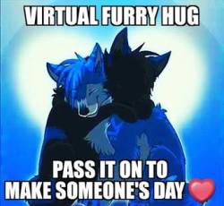 Why are all the furry meme things always slightly blurry? xD