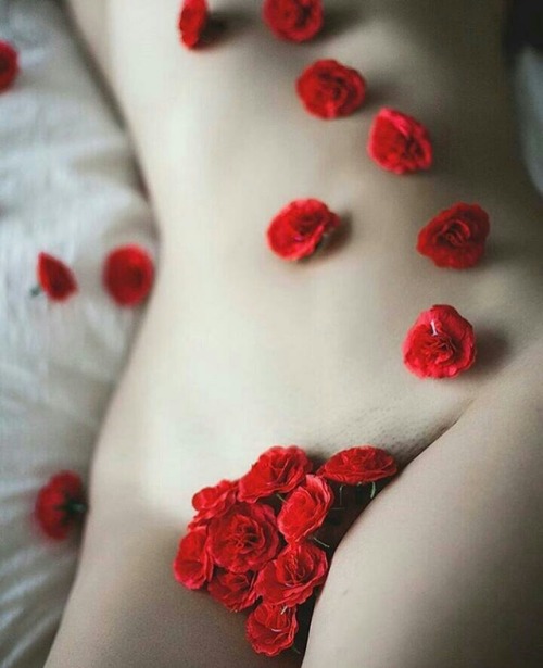 Porn Pics yohelava:  Camino de rosas  Él ha dejado